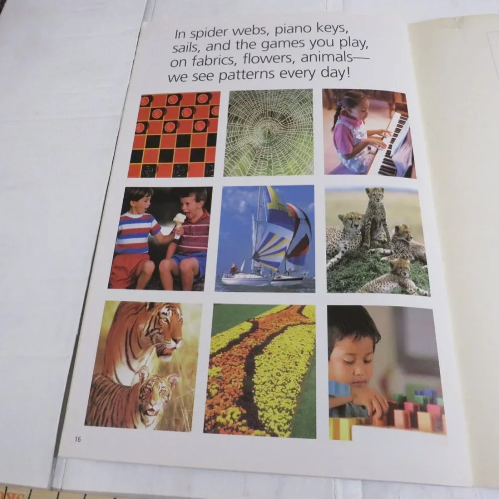 Patterns Everywhere BIG BOOK (almost 2 feet tall) with teacher pages CLASSROOM